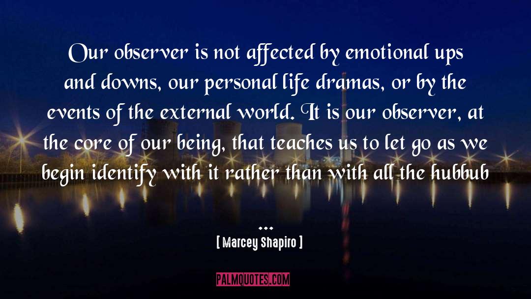 Marcey Shapiro Quotes: Our observer is not affected