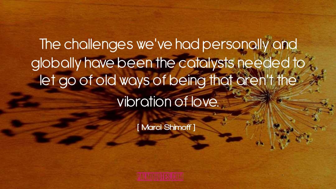 Marci Shimoff Quotes: The challenges we've had personally