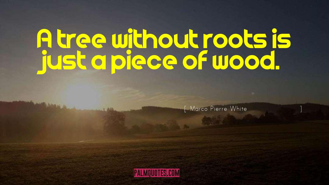 Marco Pierre White Quotes: A tree without roots is