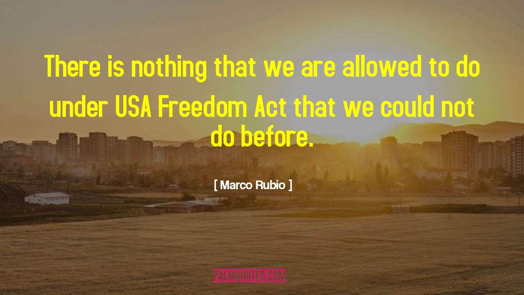 Marco Rubio Quotes: There is nothing that we