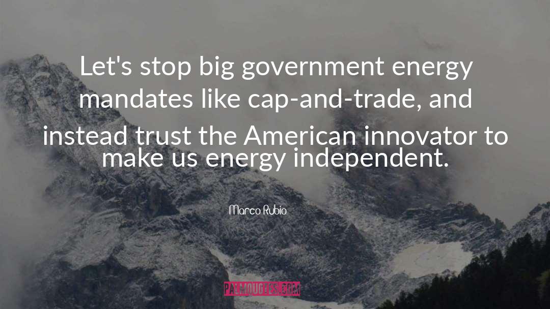 Marco Rubio Quotes: Let's stop big government energy