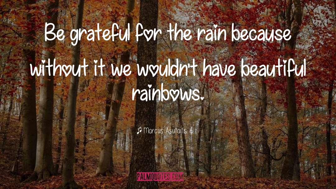 Marcus Asutaitis Quotes: Be grateful for the rain