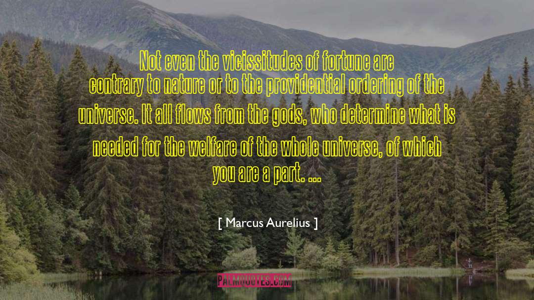 Marcus Aurelius Quotes: Not even the vicissitudes of