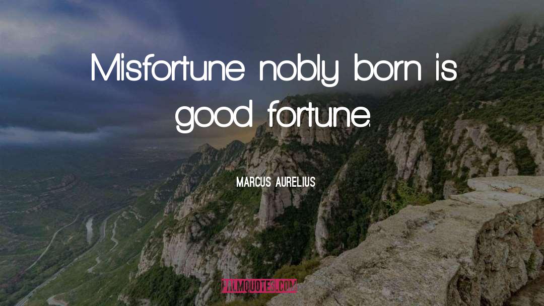 Marcus Aurelius Quotes: Misfortune nobly born is good