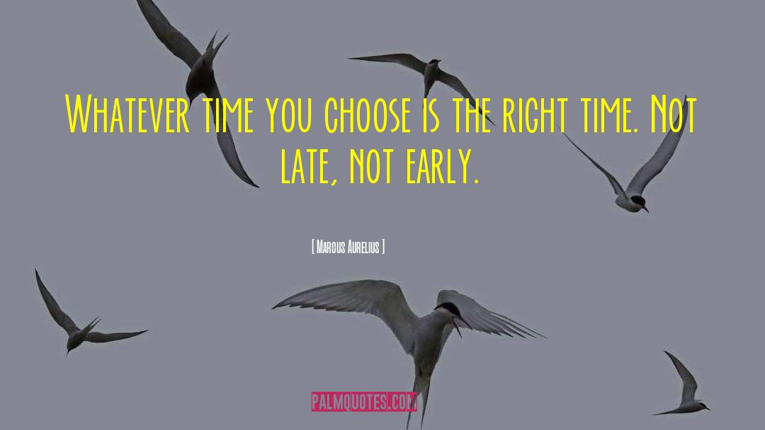 Marcus Aurelius Quotes: Whatever time you choose is