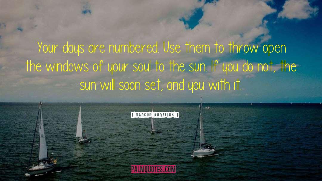 Marcus Aurelius Quotes: Your days are numbered. Use