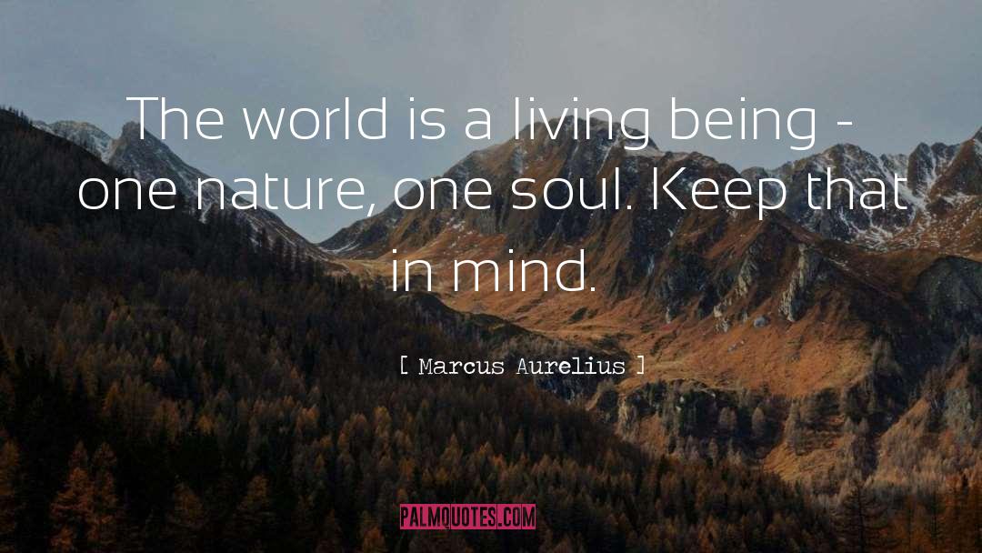 Marcus Aurelius Quotes: The world is a living