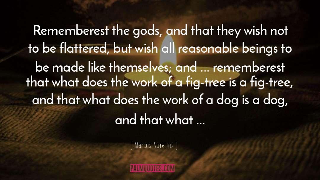 Marcus Aurelius Quotes: Rememberest the gods, and that