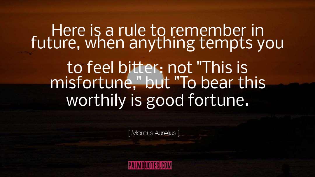 Marcus Aurelius Quotes: Here is a rule to