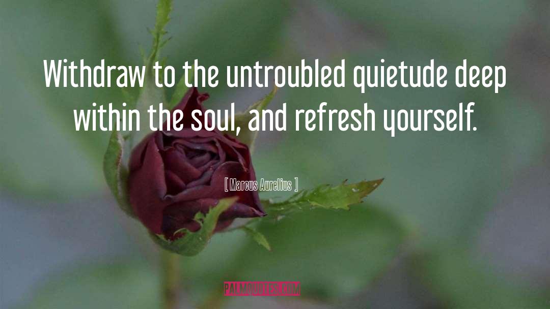 Marcus Aurelius Quotes: Withdraw to the untroubled quietude