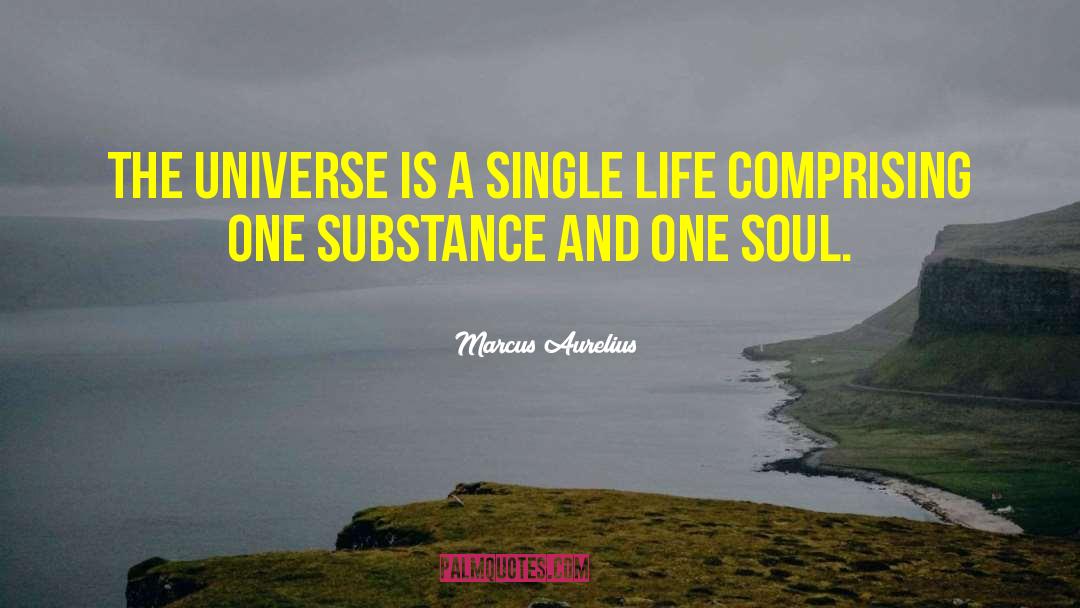 Marcus Aurelius Quotes: The universe is a single