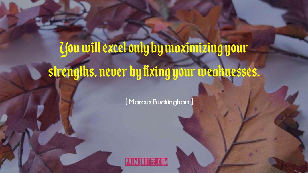 Marcus Buckingham Quotes: You will excel only by