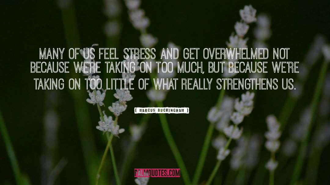Marcus Buckingham Quotes: Many of us feel stress