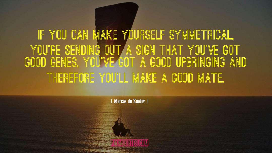 Marcus Du Sautoy Quotes: If you can make yourself
