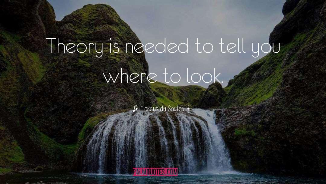 Marcus Du Sautoy Quotes: Theory is needed to tell