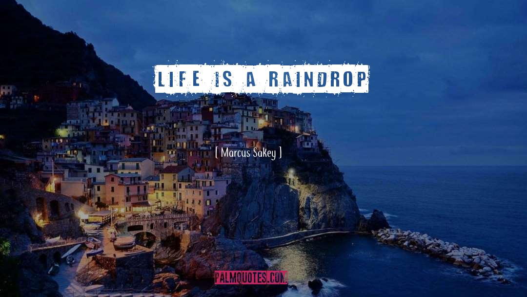 Marcus Sakey Quotes: Life is a raindrop