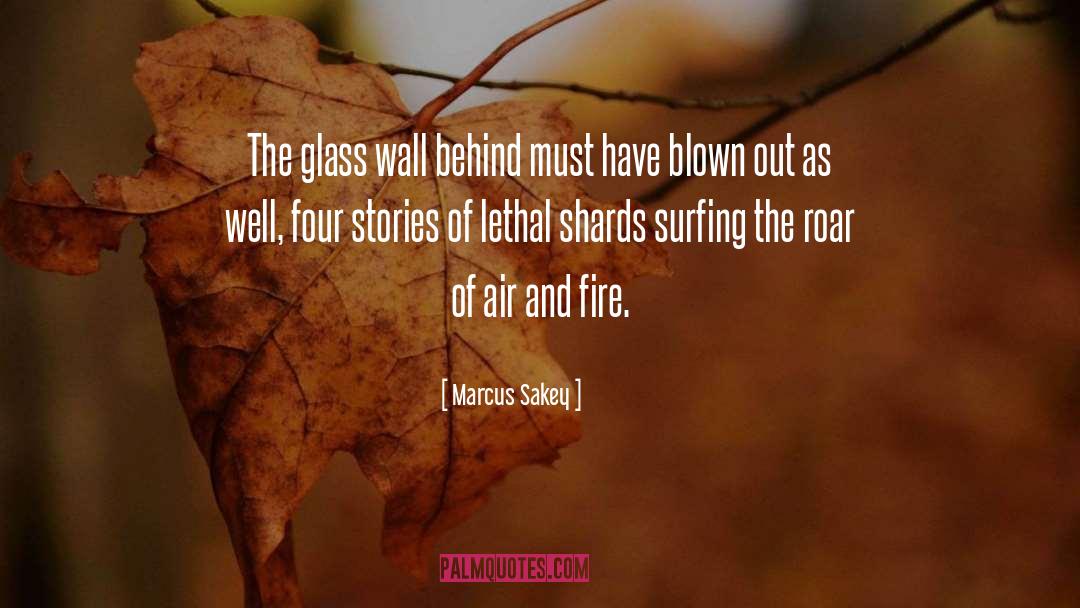 Marcus Sakey Quotes: The glass wall behind must