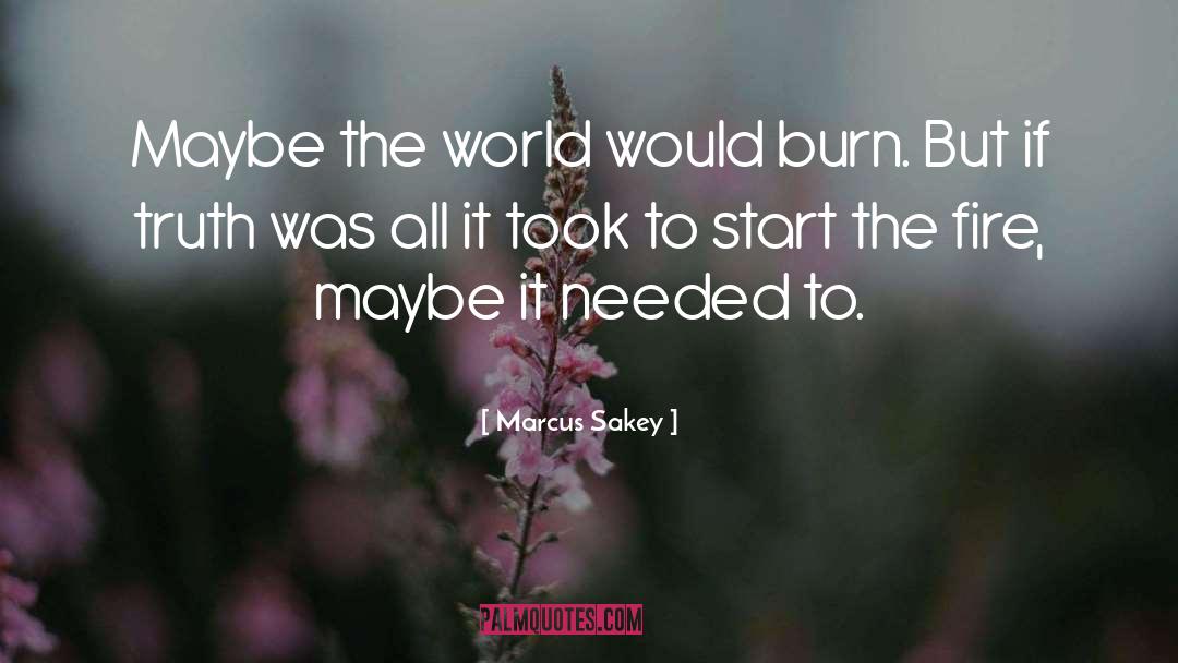 Marcus Sakey Quotes: Maybe the world would burn.