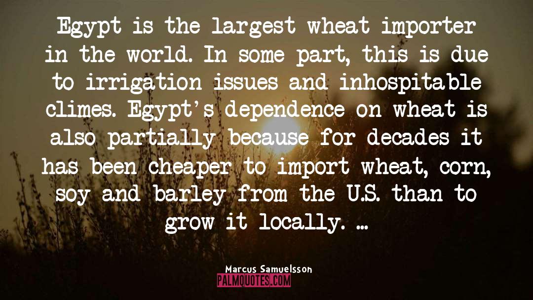 Marcus Samuelsson Quotes: Egypt is the largest wheat