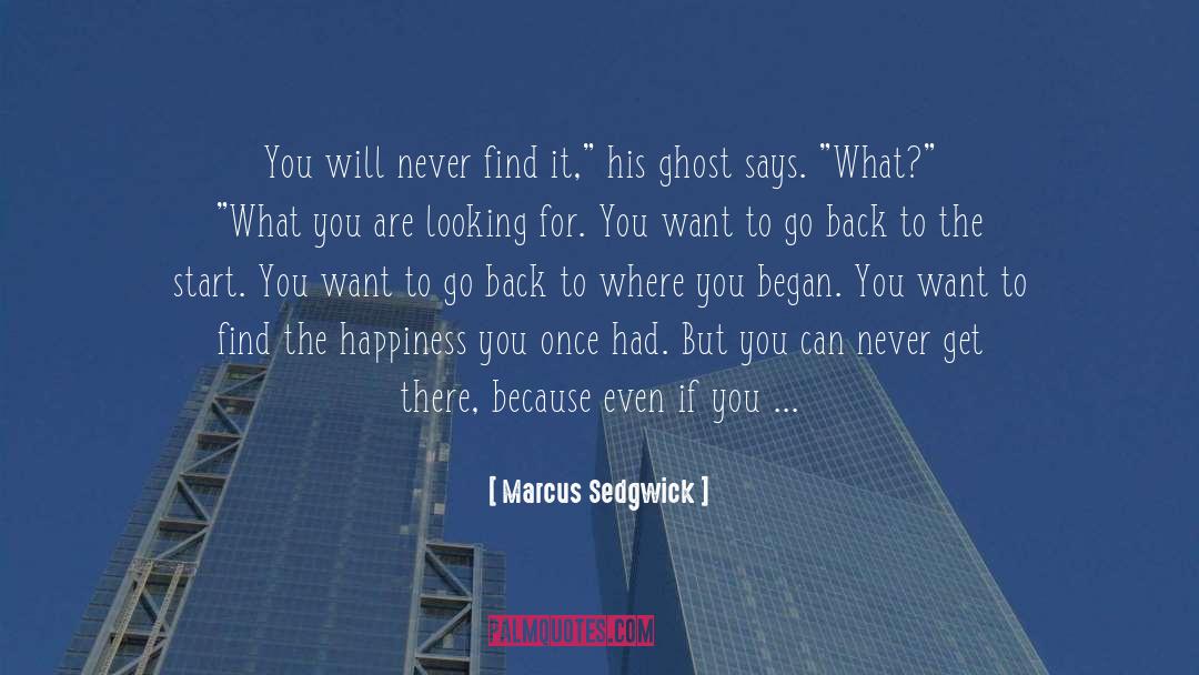 Marcus Sedgwick Quotes: You will never find it,