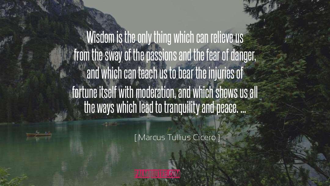 Marcus Tullius Cicero Quotes: Wisdom is the only thing