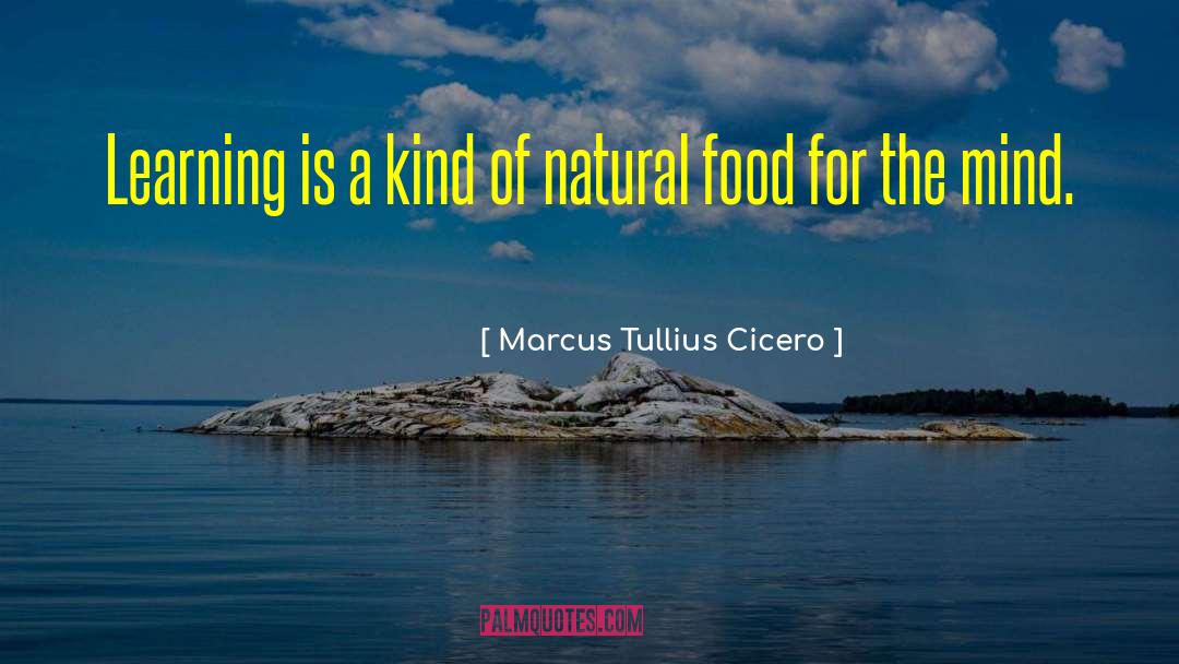 Marcus Tullius Cicero Quotes: Learning is a kind of