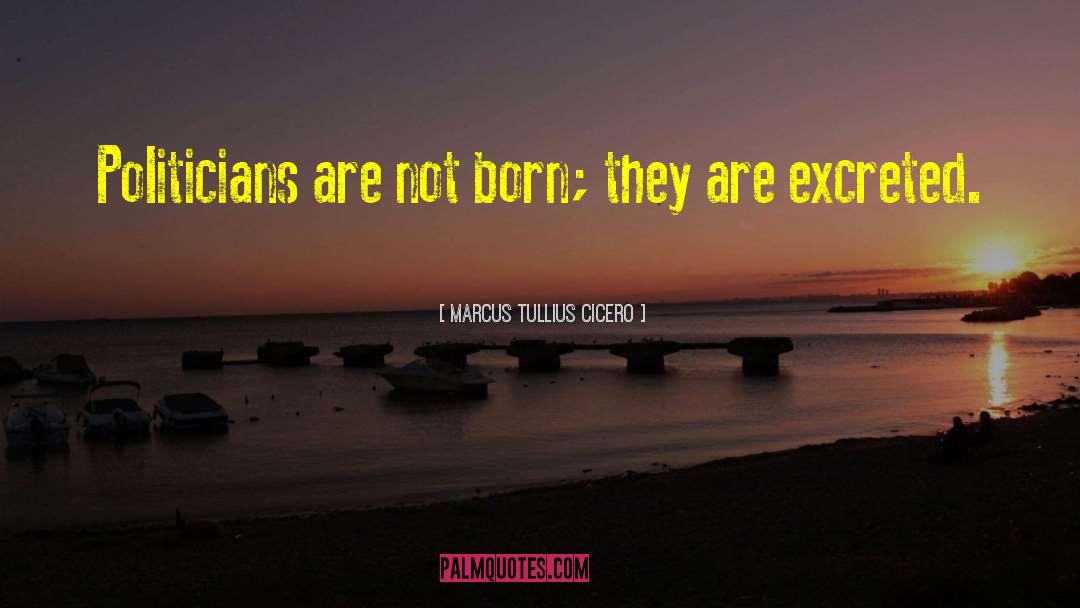 Marcus Tullius Cicero Quotes: Politicians are not born; they