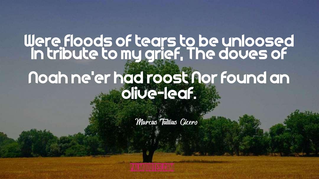 Marcus Tullius Cicero Quotes: Were floods of tears to