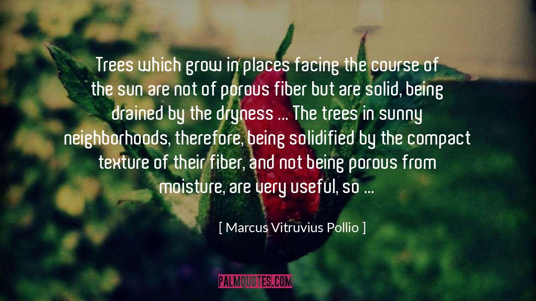 Marcus Vitruvius Pollio Quotes: Trees which grow in places