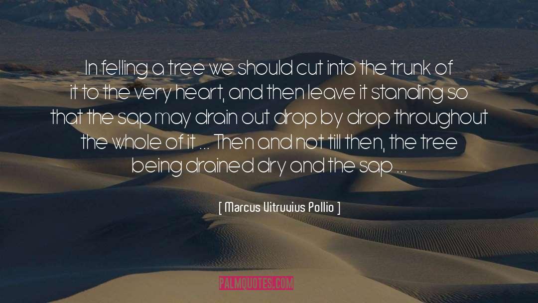 Marcus Vitruvius Pollio Quotes: In felling a tree we
