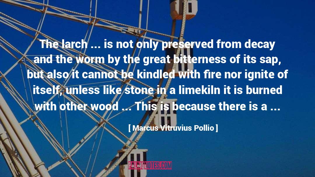 Marcus Vitruvius Pollio Quotes: The larch ... is not