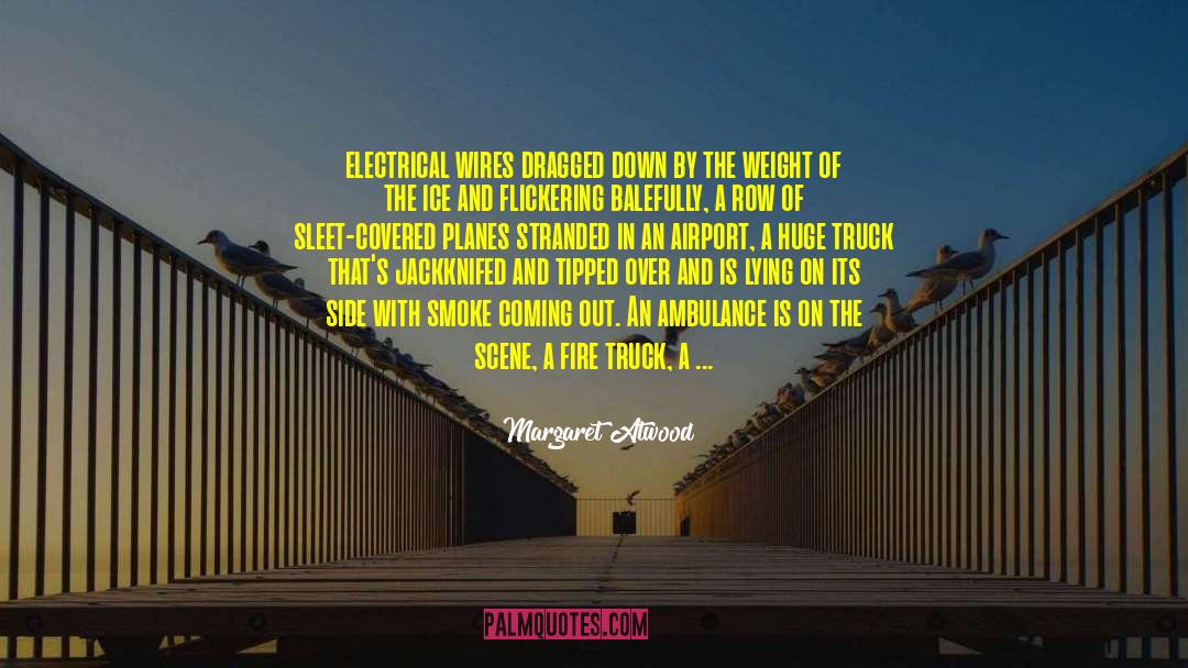 Margaret Atwood Quotes: electrical wires dragged down by