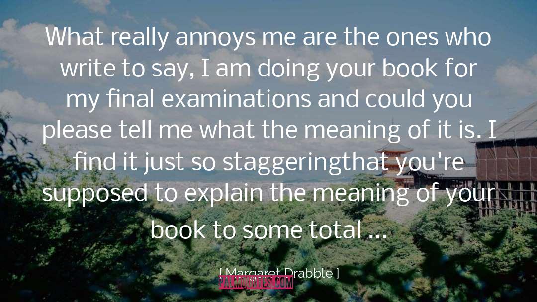 Margaret Drabble Quotes: What really annoys me are