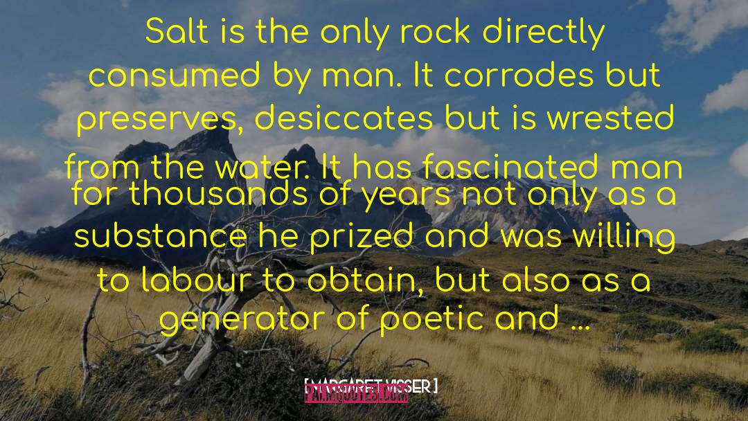 Margaret Visser Quotes: Salt is the only rock