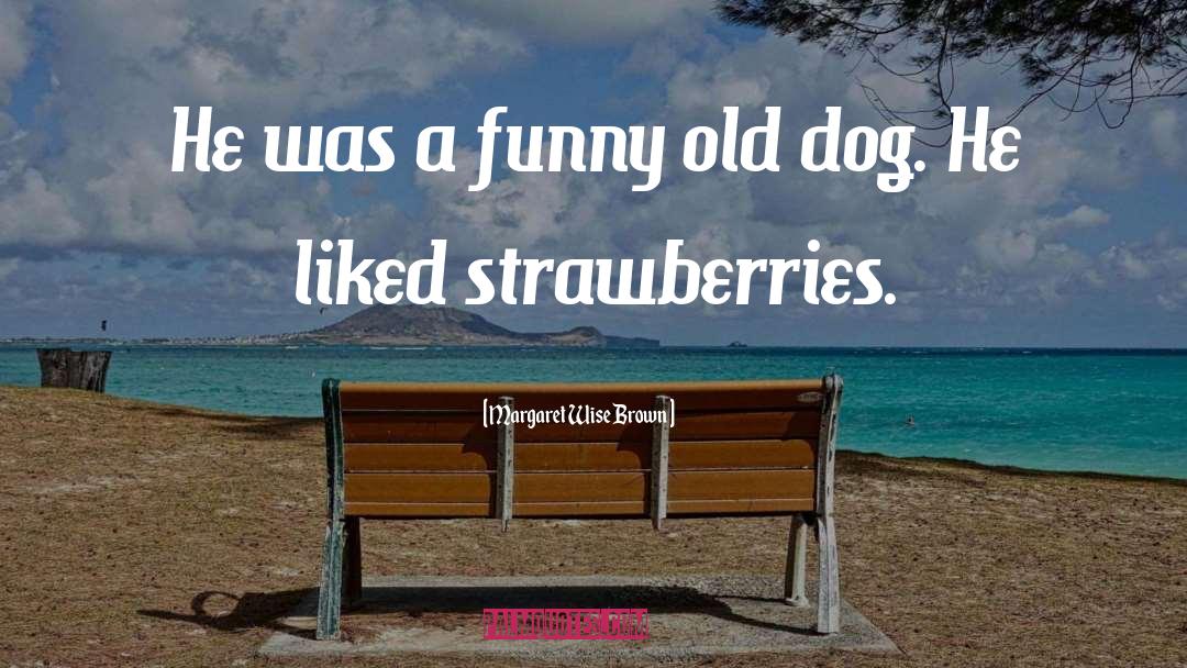 Margaret Wise Brown Quotes: He was a funny old