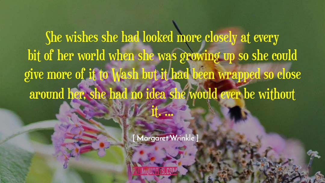Margaret Wrinkle Quotes: She wishes she had looked
