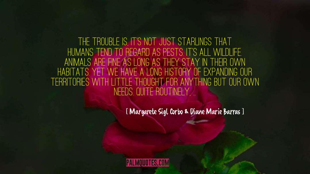 Margarete Sigl Corbo & Diane Marie Barras Quotes: The trouble is, it's not