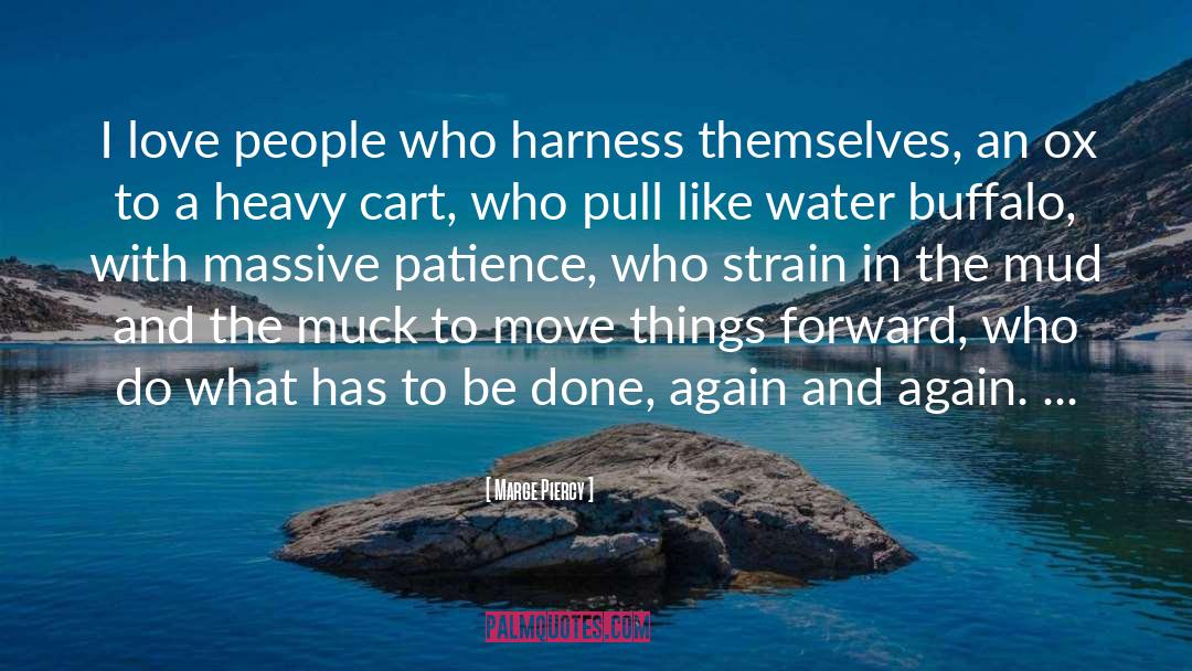 Marge Piercy Quotes: I love people who harness