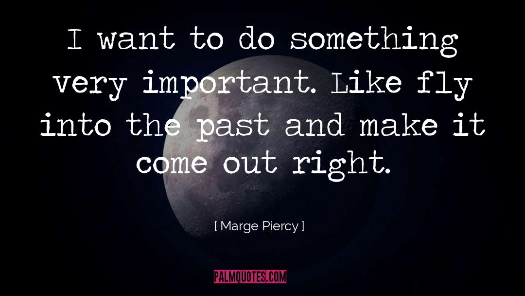 Marge Piercy Quotes: I want to do something