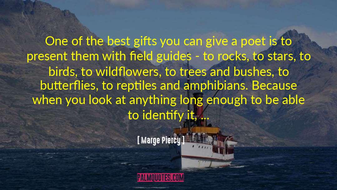 Marge Piercy Quotes: One of the best gifts