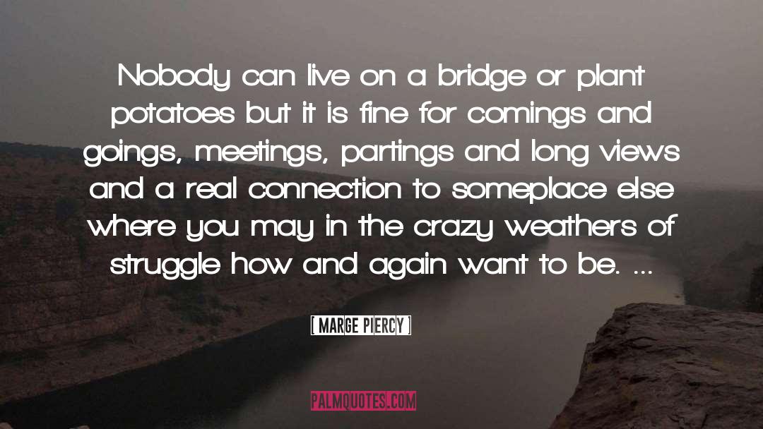 Marge Piercy Quotes: Nobody can live on a