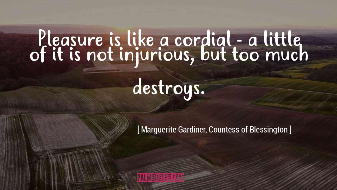 Marguerite Gardiner, Countess Of Blessington Quotes: Pleasure is like a cordial