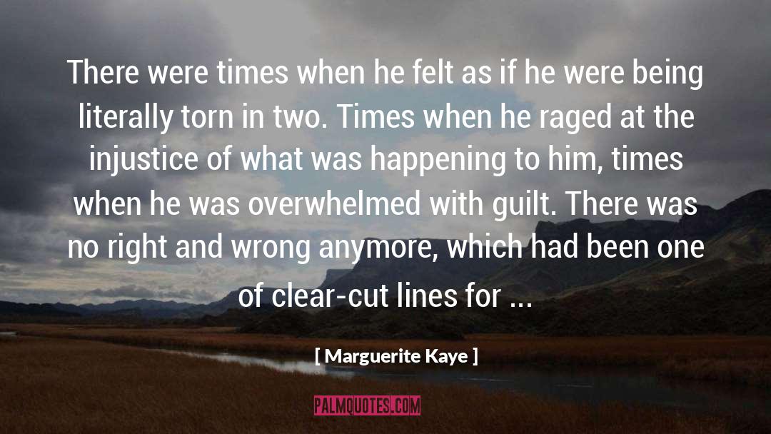 Marguerite Kaye Quotes: There were times when he