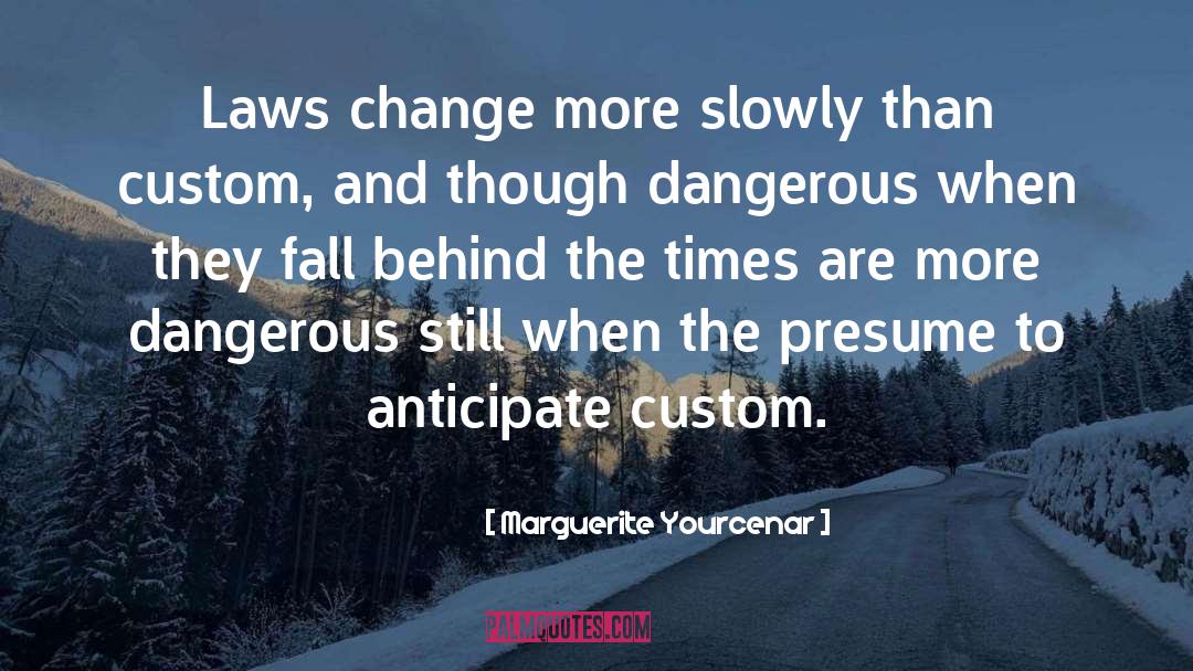 Marguerite Yourcenar Quotes: Laws change more slowly than