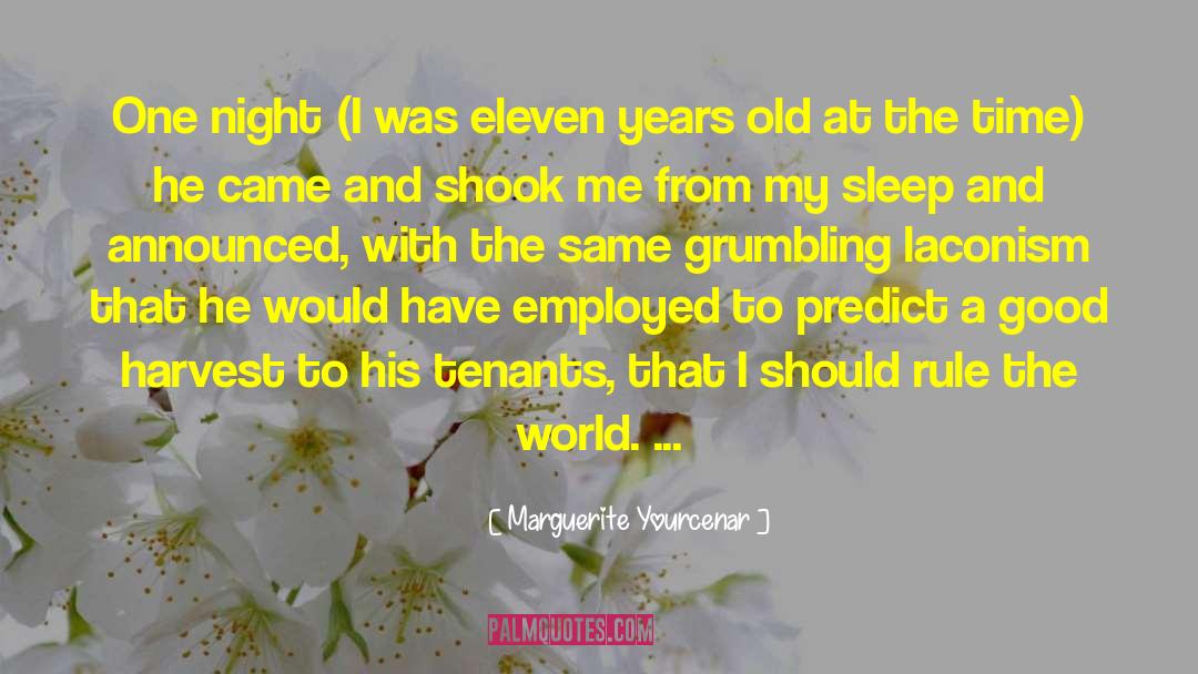 Marguerite Yourcenar Quotes: One night (I was eleven