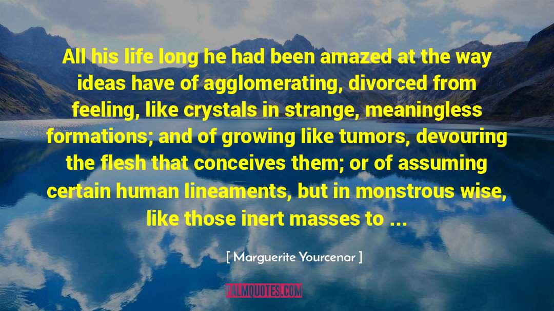 Marguerite Yourcenar Quotes: All his life long he