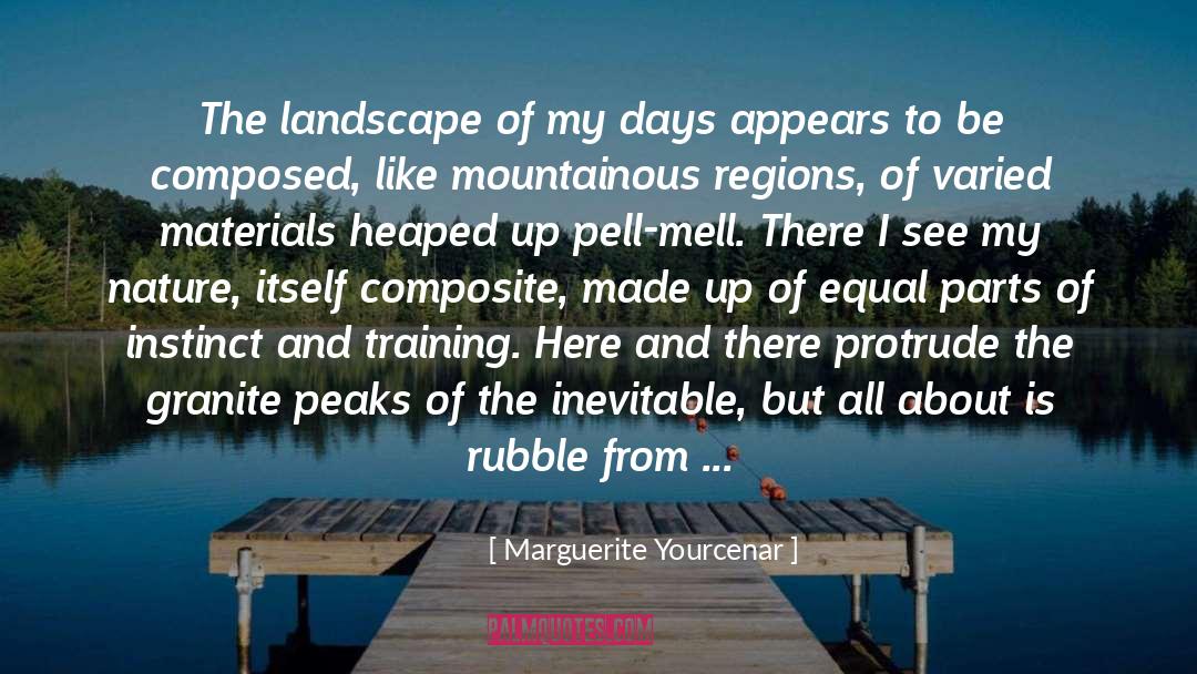 Marguerite Yourcenar Quotes: The landscape of my days