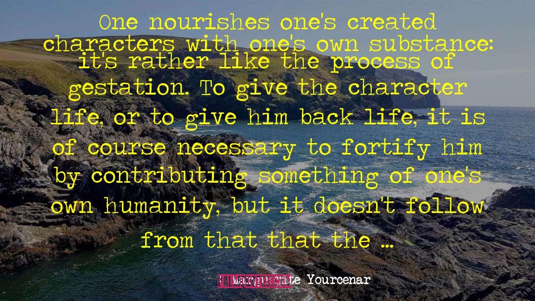 Marguerite Yourcenar Quotes: One nourishes one's created characters
