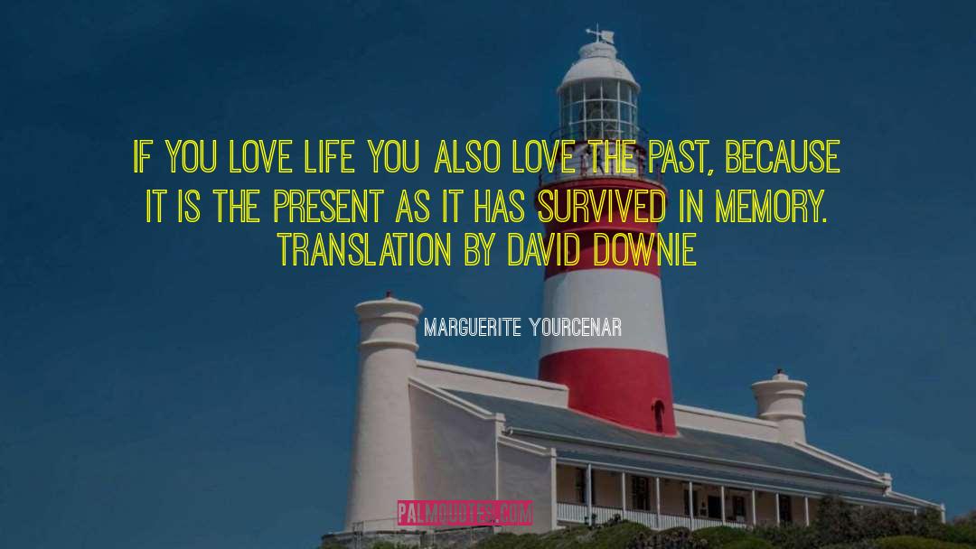 Marguerite Yourcenar Quotes: If you love life you