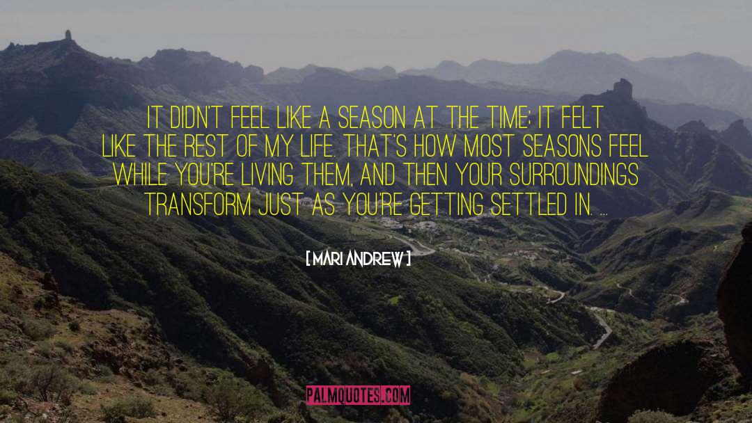 Mari Andrew Quotes: It didn't feel like a